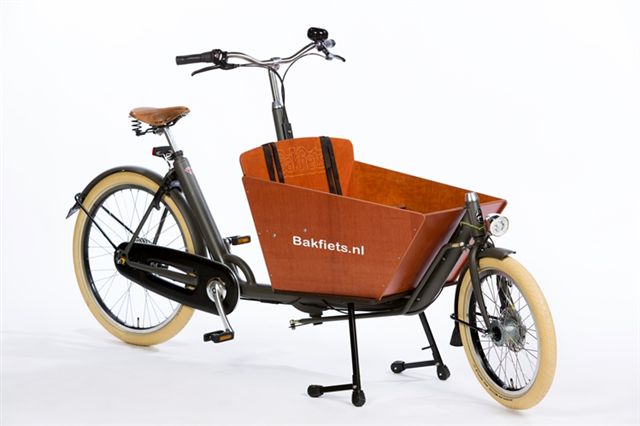 Cargo Short Cruiser